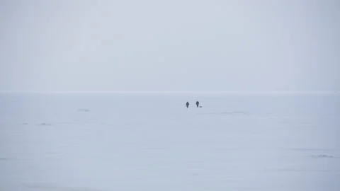 Panoramic view two people walking across the snow-covered Baltic sea 스톡 동영상 171310250