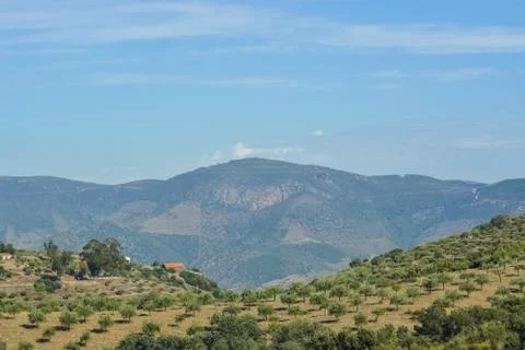 Panoramic view of the typical landscape of the Douro, in the north of Portugal Stock Photos