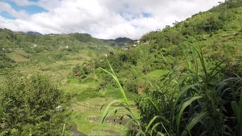 Panoramic view of the valley and mountains with rice terraces in Banaue Stock Footage 147023212