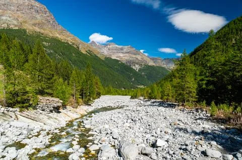 Panoramic view of Valmalenco in summer. Stock Photos