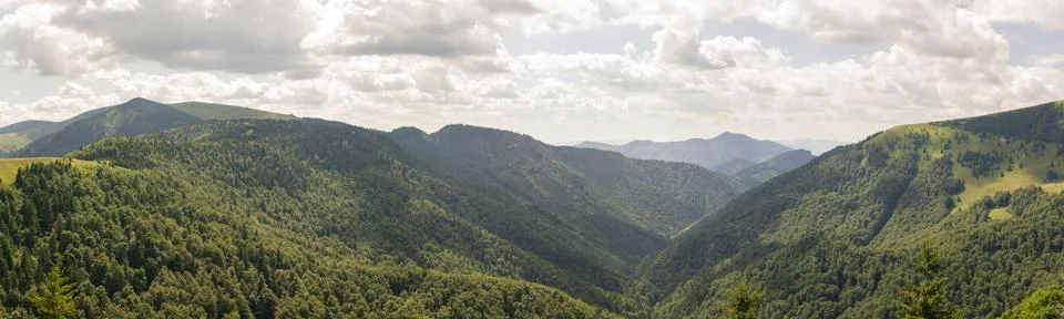 Panoramic view of vast rolling forested mountains under cloudy sky with sun.. Stock Photos