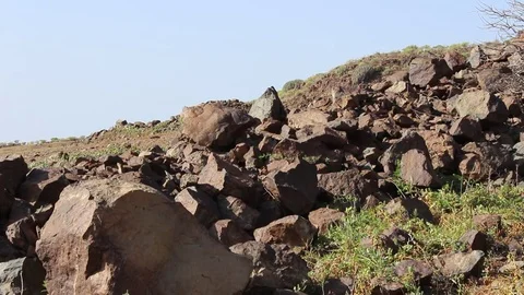 Panoramic view of vegetation and soil of the Gran Canaria island Stock Footage 74166596