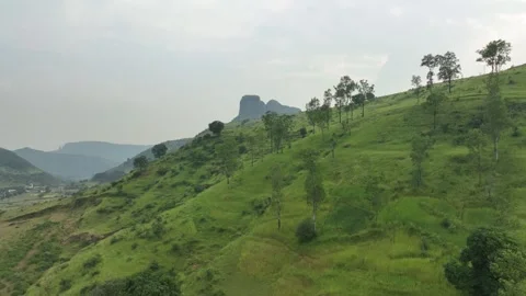 Panoramic view of verdant, hilly landscape under a hazy sky. Distinctive ro.. Stock Footage 305836571
