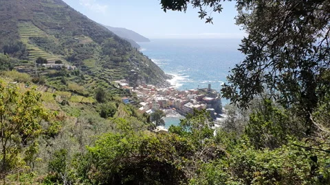 Panoramic view of Vernazza,  famous Cinque Terre village in Italy Stock Footage 244020966