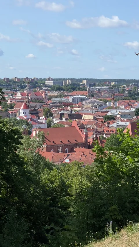 Panoramic view of Vilnius from Three Crosses monument in summer. Vertical video Stock Footage 246972980