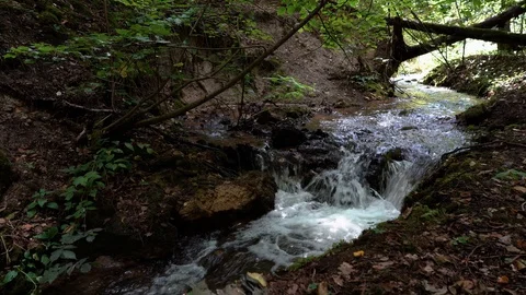 Panoramic view of Vilsos river in the forest, Lithuania Stock Footage 113965335