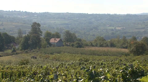 Panoramic view from the vineyard Stock Footage 35582929