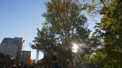 Panoramic View Of Washington Square Arc In The Heart Of New York City  Stock Footage 113820844