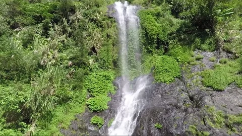 Panoramic View Of The Waterfall, Mountain Forest, Banaue, Luzon, Philippines Stock Footage 236406360