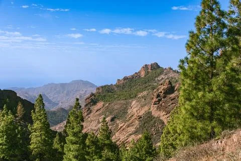 Panoramic View On The Way Stock Photos