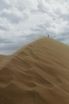 Panoramic view to wild desert Stock Photos