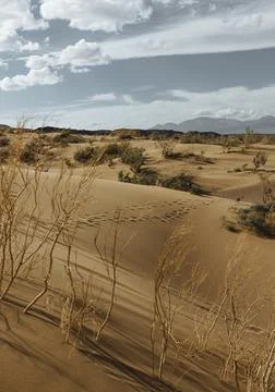 Panoramic view to wild desert Foto stock