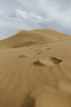 Panoramic view to wild desert Stock Photos