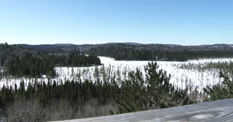 Panoramic view of the wilderness in Algonquin Provincial Park, Canada Video stock 49007032