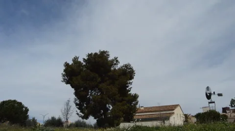 Panoramic View Of The Wind Stock Footage 50135558