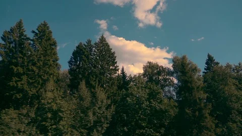 Panoramic view from the window with reflection at fast moving scenery Vidéo 108583366