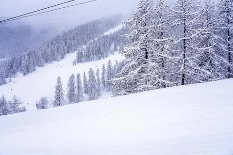 Panoramic view of winter forest during snowfall. Snowing ski resort in the Stock Photos