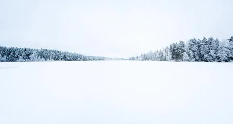 Panoramic view of winter lake in forest Foto stock