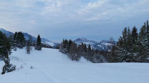 A panoramic view of the winter landscape, a dreamy meadow in the forest, cloudy Stock-Footage 301647883