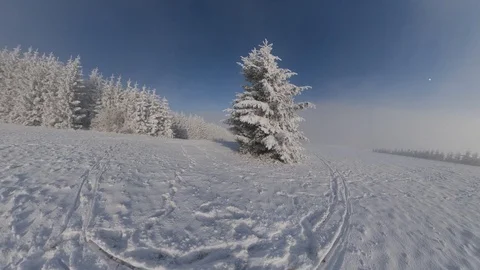 Panoramic View of Winter Ski Slope and Trees Covered in Snow on Sunny Day Stock Footage 124979960