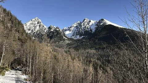 Panoramic view of the winter snow-covered mountain range Stock Photos