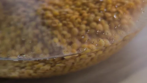 Panoramic view of yellow lentils in water through glass bowl Stock Footage 339512326