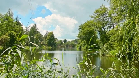 Panoramic viewpoint of green Protected wetlands lake summer sunny day in Kolk Stock Footage 202318192