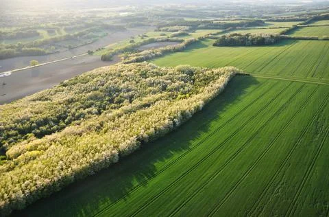 Panoramic views of green fields and forest. Fotos de archivo