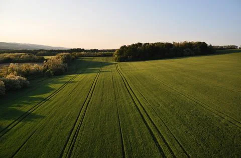 Panoramic views of green fields and forest. Top view of the ground. Stock Photos