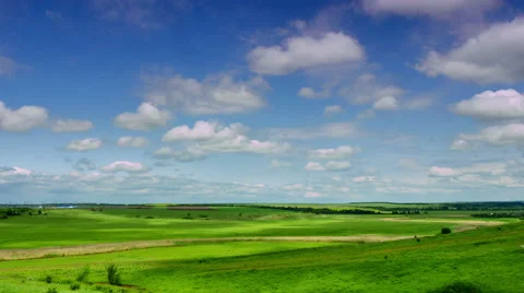 Panoramic views of meadows Stock Footage 50888015