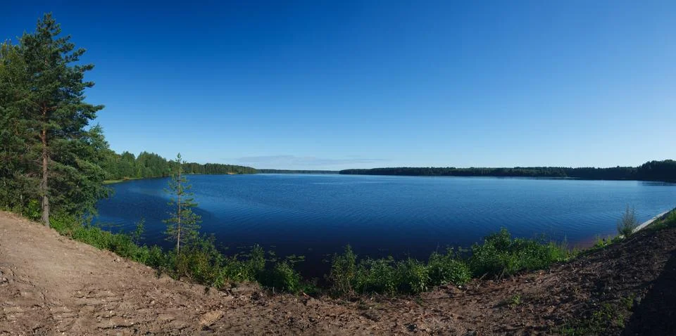 Panoramic views of the river and the forest on the banks Foto stock