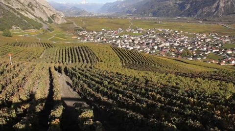 Panoramic- vineyard-valley-mountain Stock Footage 36558080