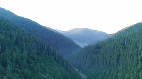 Panoramic vista of deep forested valley flanked by layered green  Stock Footage 328103033