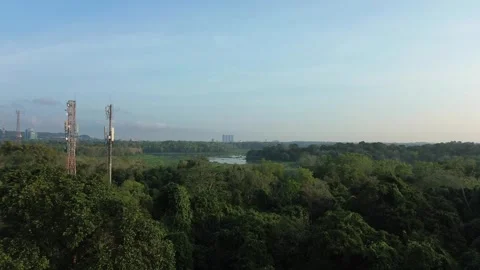 Panoramic vista of modern communication infrastructure rising above verdant.. Vidéo 337243714