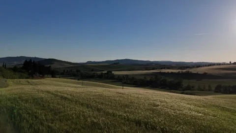 Panoramic Vista of Rolling Wheat Field at Golden Sunset Light Видео 346513446