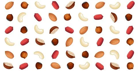 Panoramic walnut pattern, different varieties of nuts - Vector Stock Illustration