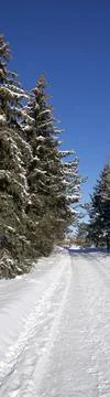 Panoramic web banner of the footpath with deep snow for a winter weather conc Stock Photos