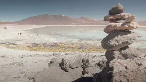Panoramic at White Lagoon - Bolivia. Stock Footage 134494484