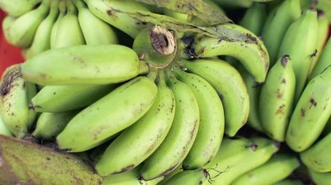Panoramic wide angle background of fresh bananas Stock Photos