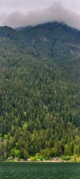 Panoramic Wide Angle View of Waterfront Neighborhood and Green Forest Mountain Fotos Stock