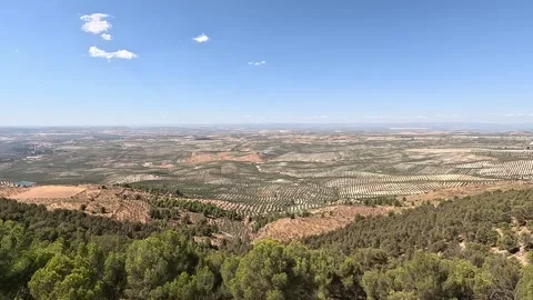Panoramic of the wide plain full of olive groves in Jaen Stock Footage 284670338