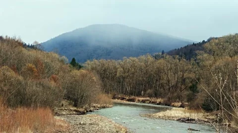 Panoramic Wilderness Landscapes of Mountain Valleys and Pine Forests 4K Stock Footage 335098878