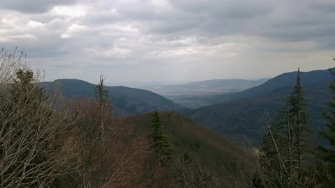 Panoramic Wilderness Landscapes of Mountain Valleys and Pine Forests 4K Stock Footage 335098941