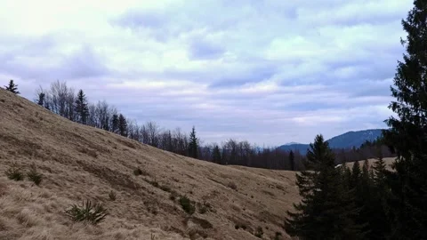 Panoramic Wilderness Landscapes of Mountain Valleys and Pine Forests 4K Stock Footage 335098960