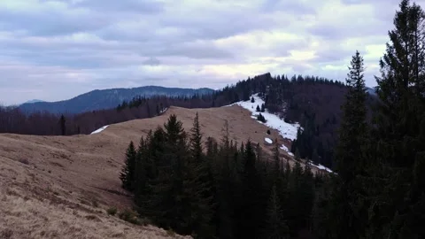 Panoramic Wilderness Landscapes of Mountain Valleys and Pine Forests 4K Stock Footage 335098967