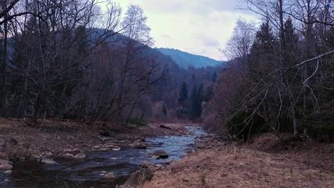 Panoramic Wilderness Landscapes of Mountain Valleys and Pine Forests 4K Stock Footage 335098979