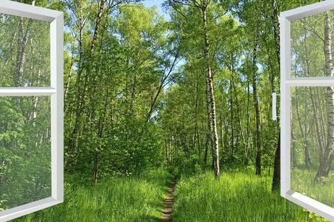 Panoramic window overlooking path in forest. Spring has come Stock Photos