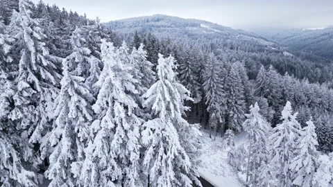 Panoramic winter drone view of the mountains in the forest. Asphalt road Vidéo 231906047