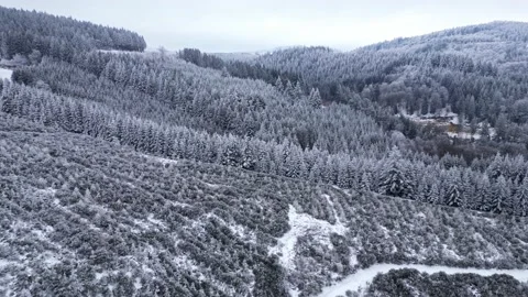 Panoramic winter drone view of the mountains in the forest. Asphalt road Stock Footage 231907445