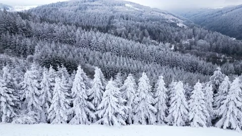 Panoramic winter drone view of the mountains in the forest. Asphalt road Vídeo Stock 231907468